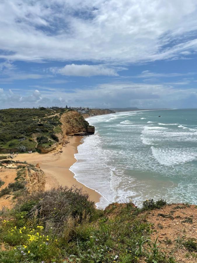 Villa Mar Fuente Del Sol Conil De La Frontera Zewnętrze zdjęcie